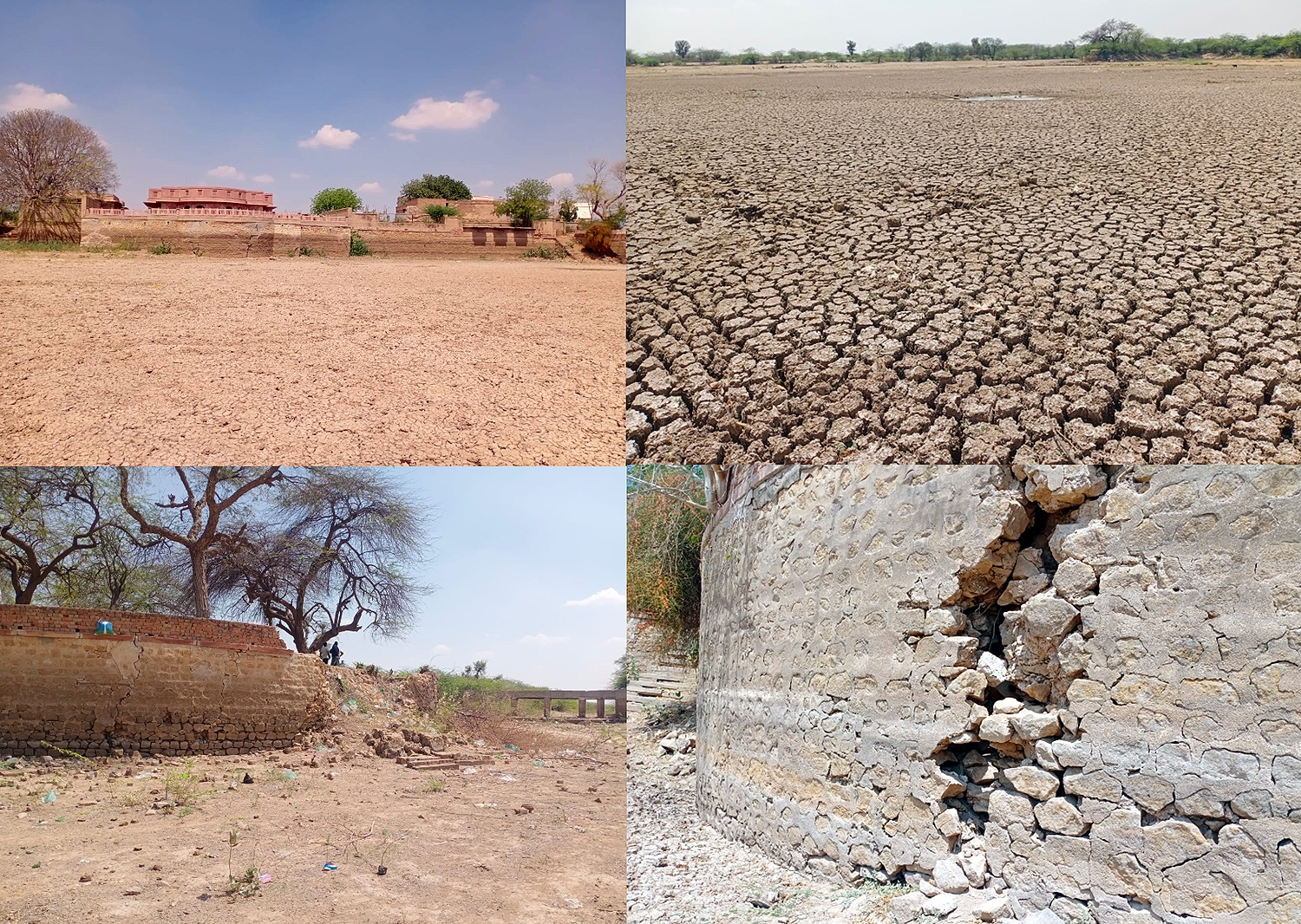 ऐतिहासिक धरोहर पर संकट: सूखते कोड़मदेसर तालाब ने छीनी पशु-पक्षियों की जिंदगी